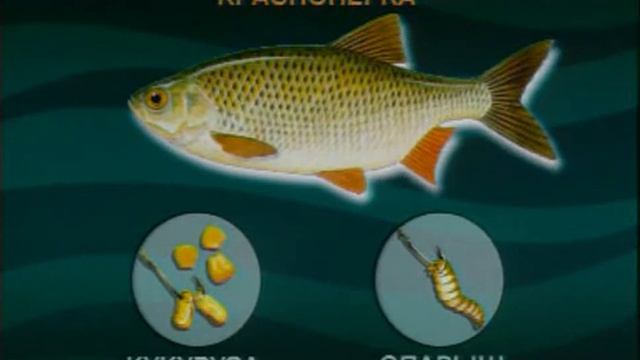 Планета рыбака - Нижняя Волга. Ловля разнообразной рыбы смотреть онлайн