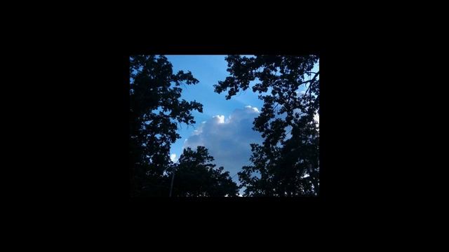 Медитация ВОЛШЕБНЫЙ ЛЕС / Медитация / Медитация перед сном / Расслабление / Изобилие / Исцеление смотреть онлайн