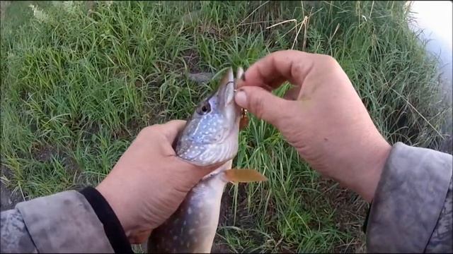 ЩУКА НА УЛЬТРАЛАЙТ. МАЛЫЕ РЕКИ смотреть онлайн