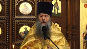 «Чудо веры, смирения и любви». Проповедь протоиерея Артемия Владимирова. 020723.