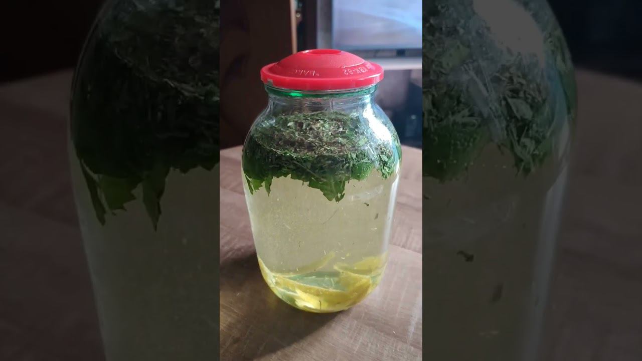 Настойка Тархун Short #shorts #водка