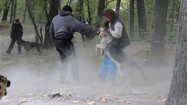 Вео Росс Энигма на площадке "АРЕС" 18.10.15 смотреть онлайн