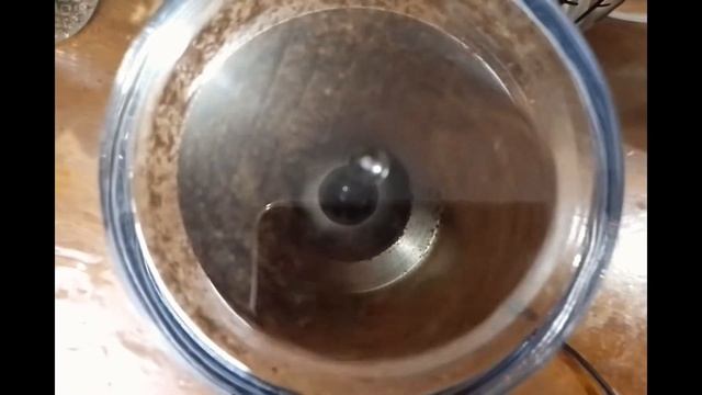 TUDO SOBRE O MOEDOR AUTOMÁTICO DA HAMILTON BEACH 220V смотреть онлайн