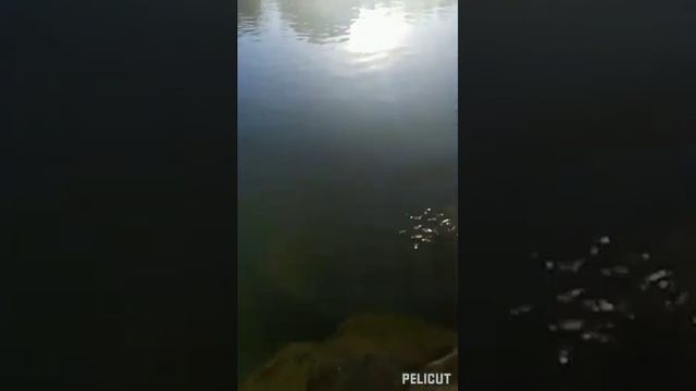 Франция. г.Эперне. нашли дикий пляж))) смотреть онлайн