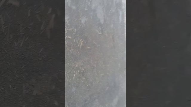 Утепление дома.Кострой . 5