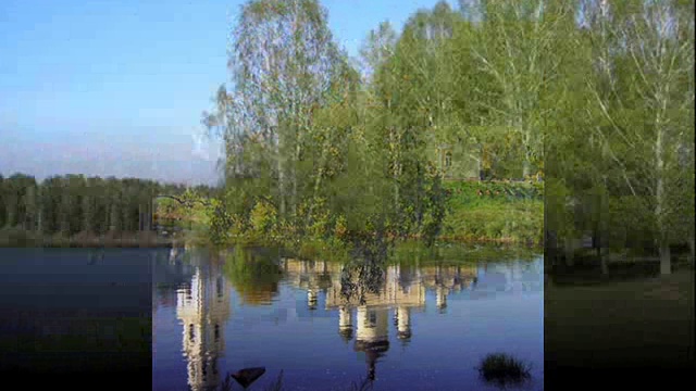 БЕЛАЯ БЕРЁЗА