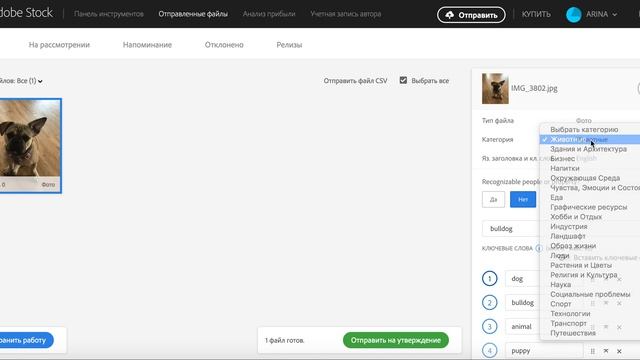 Как грузить фотографии на Adobe Stock? 1 видео-урок смотреть онлайн