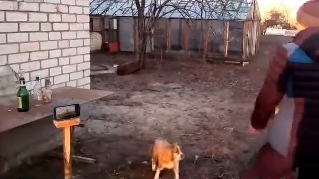 ДУРАЦКИЙ ЭКСПЕРИМЕНТ ИЛИ КАК СЛОМАТЬ РАКЕТКУ//LFY смотреть онлайн