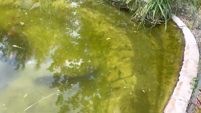 Сено покосили 😀 смотреть онлайн