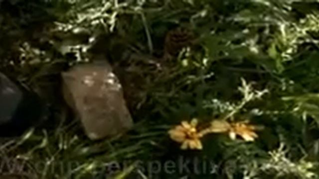 Путешествие - вот, что приносит радость! смотреть онлайн