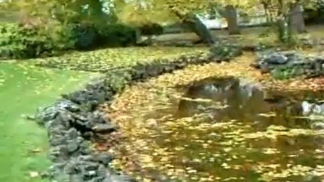 = Les Feuilles de l'Automne смотреть онлайн