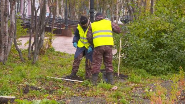 Озеленение Кировска