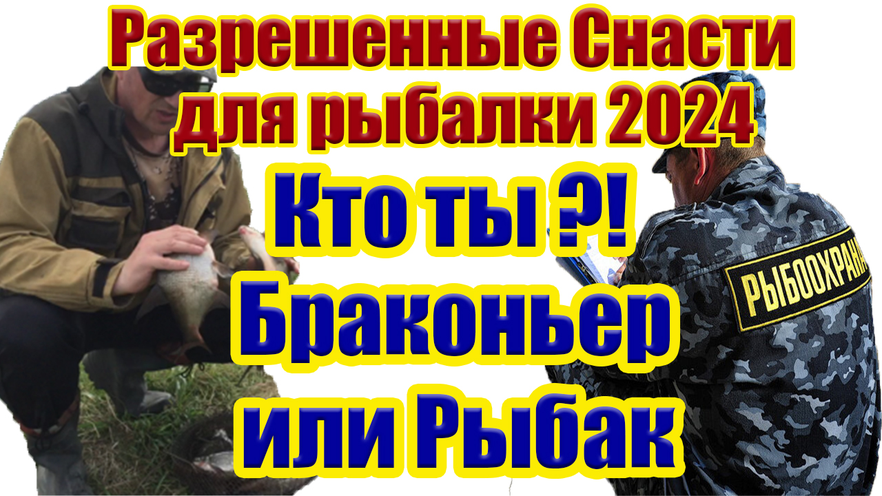 Закон о рыбалке Разрешенные снасти в 2024 году смотреть онлайн