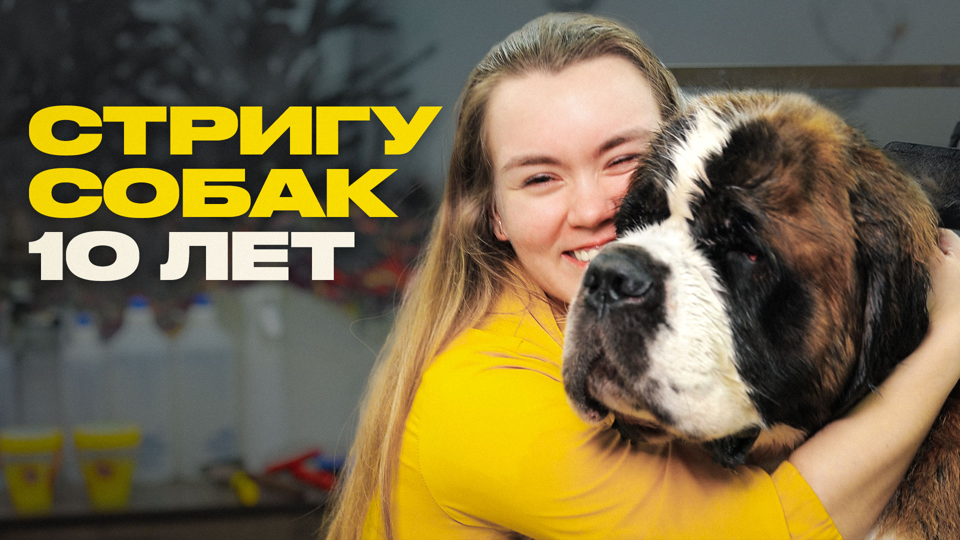 Грумер о ваших питомцах и своей работе смотреть онлайн