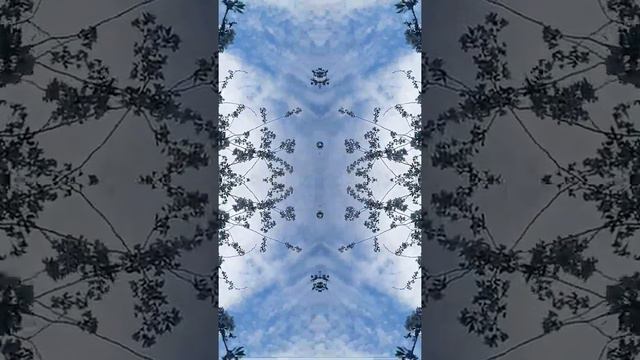 Love has only one mantra - love is around the beloved#kaleidoscope#калейдоскоп#mantra#love#beloveds смотреть онлайн