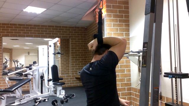 Загадки бицепса. Биомеханика многосуставных мышц. Часть 1