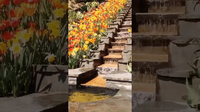 Waterfall in Mainau Island , Konstanz , Germany смотреть онлайн
