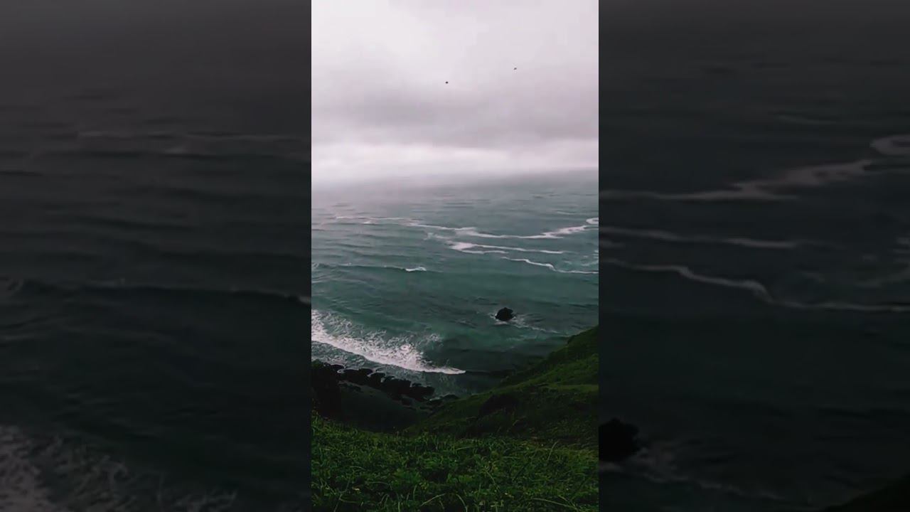 шорты на прогул #gopro #travel