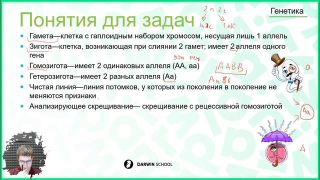 Теория: Законы Менделя смотреть онлайн