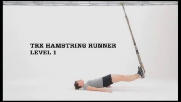 TRX Тренировка (основные упражнения)