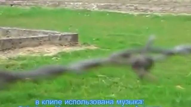 Освенцим Аушвиц Беркенау АЛЬПИЙСКИЙ ДЕСАНТ 2013 1 мая 2013 1 смотреть онлайн