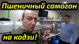 Пшеничный самогон на кодзи