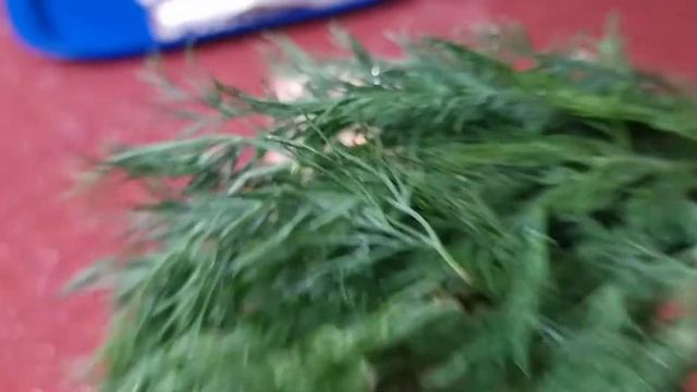 Лучше красной рыбы! Скумбрия, которая тает во рту смотреть онлайн