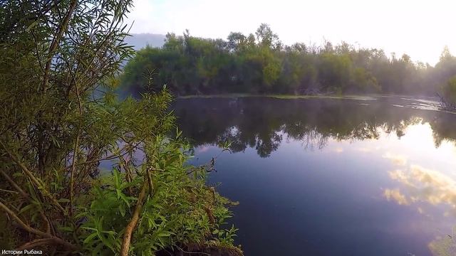 ЗАБЫЛ УДОЧКУ, НО КАРАСЕЙ НАТАСКАЛ!!! НА ПАЛКУ... смотреть онлайн