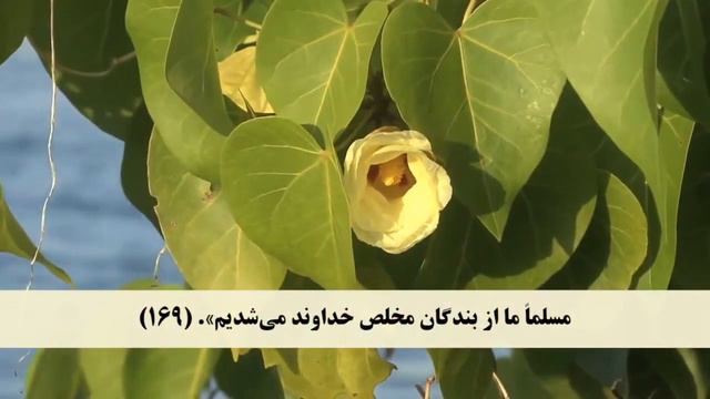 QURAN Farsi-Dari Translation - Juz 23 Complete, جزء ۲۳ با ترجمه دری فارسی смотреть онлайн
