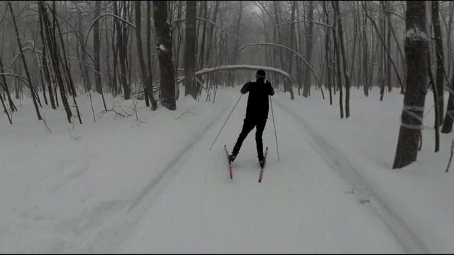 Лыжня России 2021 онлайн формат смотреть онлайн