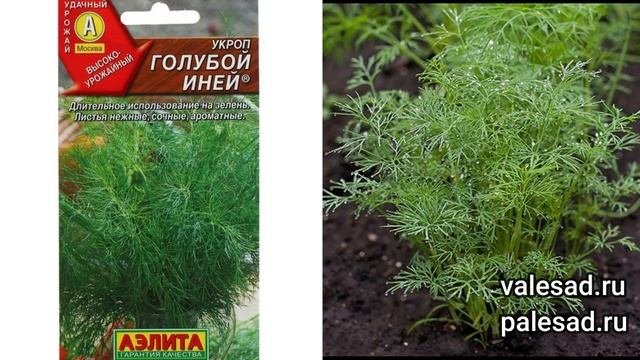 ПОСЕЙТЕ В ТЕПЛИЦЕ В МАРТЕ ОВОЩИ И ЗЕЛЕНЬ на РАННИЙ УРОЖАЙ! смотреть онлайн