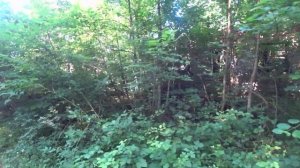 ЗАБРОШЕННЫЙ НИ КОМУ НЕ НУЖНЫЙ ПОСЁЛОК НОВОСАДОВЫЙ АБИНСКОГО РАЙОНА КРАСНОДАРСКОГО КРАЯ