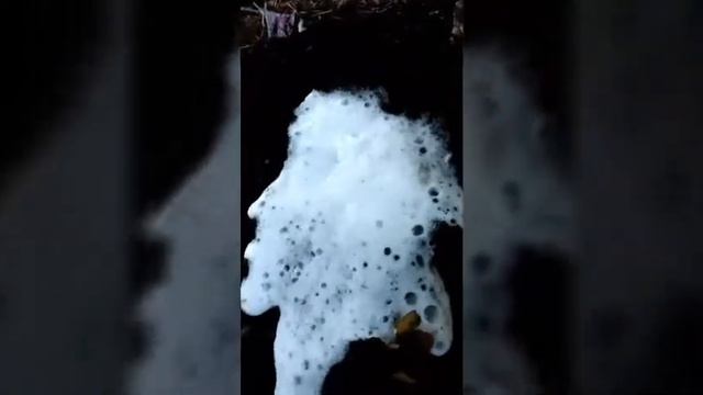 Первое видео: эксперимент сода+уксус. смотреть онлайн