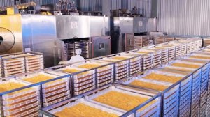 Манго, сухофрукты из Вьетнама. Кинг / King