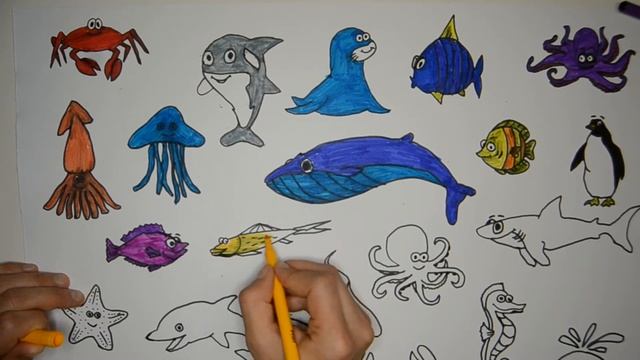 Aquatic creatures coloring?/画水生生物?/ जलीय जीवों को पेंट करें /?рисовать водных существ /?su canlılar смотреть онлайн