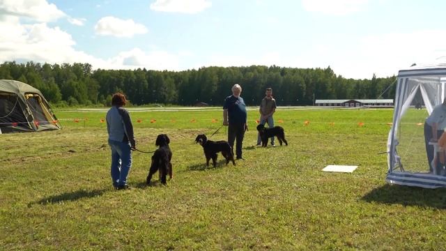 Выставка - Праздник 2023г Нижегородская область! смотреть онлайн