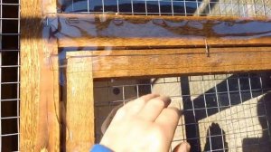 Попугаи "Розеллы" и размер вольеров.