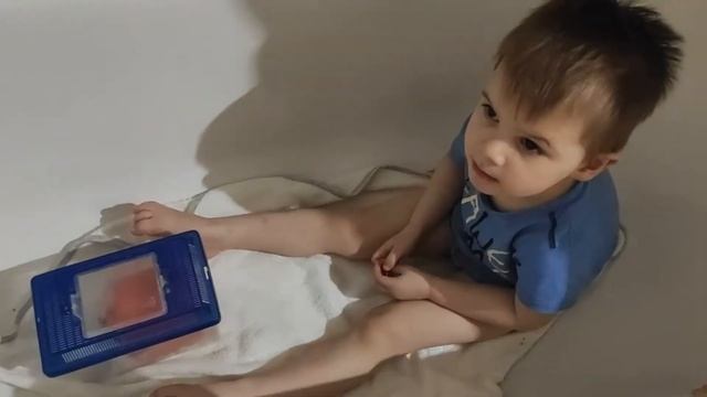 Японские КАРЛИКОВЫЕ МЫШКИ / ЧАСТЬ 5 / ПРИРУЧЕНИЕ / ДЕТИ / БОНУС в конце видео смотреть онлайн