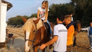 Класс! Конная прогулка Колобок лошади дети  детский канал Cool! Horse