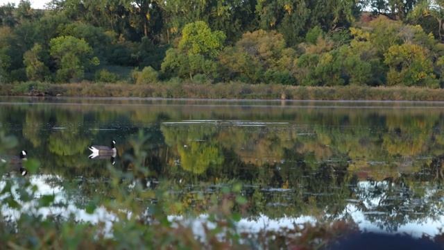CRAZY Public Land Duck Opener 2021 (42 Birds!) смотреть онлайн