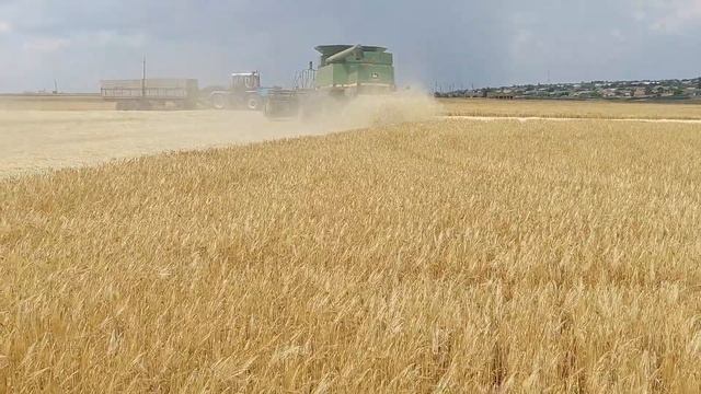Жнива 2023 20.06.23 смотреть онлайн