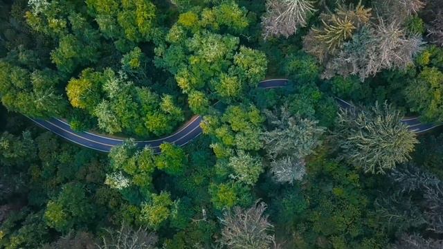T1 Pro Obstacle Avoidance 3-Axis Gimbal 4K-Video Long Range Drone – Just Released ! смотреть онлайн