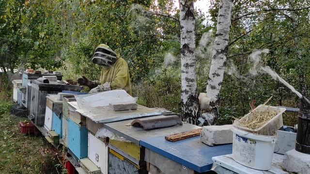 Пчеловодство.Супер быстрая закормка пчёл сиропом в зиму по американской системе #Пчеловодство #Сиро смотреть онлайн