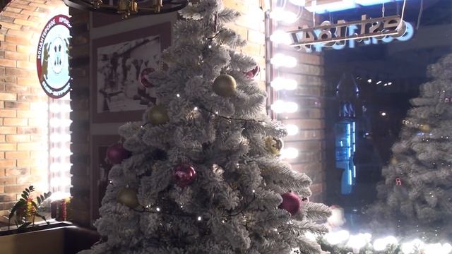 В ВЫБОРГ НА ЛАСТОЧКЕ. смотреть онлайн