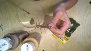 как быстро сделать деревья для макета/ масштабное моделирование