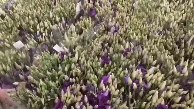 Гуллар смотреть онлайн