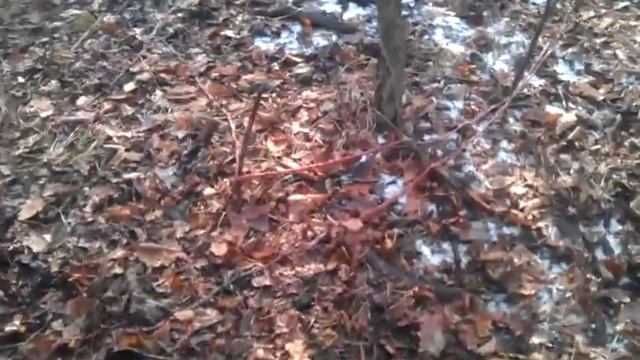 Место разделки медведей смотреть онлайн