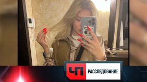 «Не Мавроди вроде» | Как блогерша «развела» подписчиков на миллионы | «ЧП. Расследование»