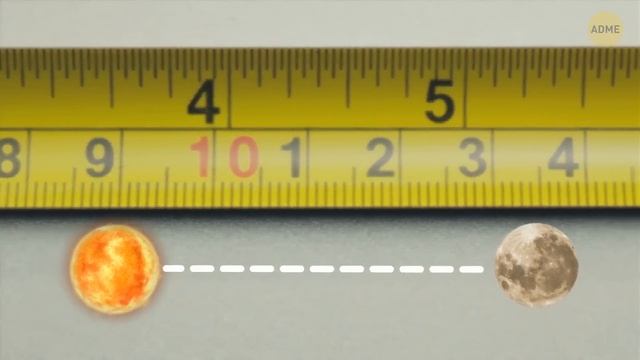 Раскрыто 50+ неожиданных истин о человеческом теле! смотреть онлайн