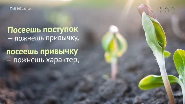 Посеешь поступок - пожнешь привычку смотреть онлайн